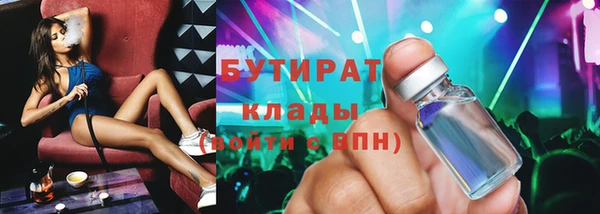 шишки Архангельск