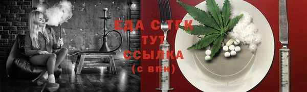 шишки Архангельск