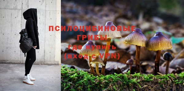 шишки Архангельск