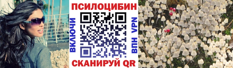 Псилоцибиновые грибы мицелий  цена наркотик  Калязин 